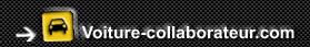 www.voiture-collaborateur.com